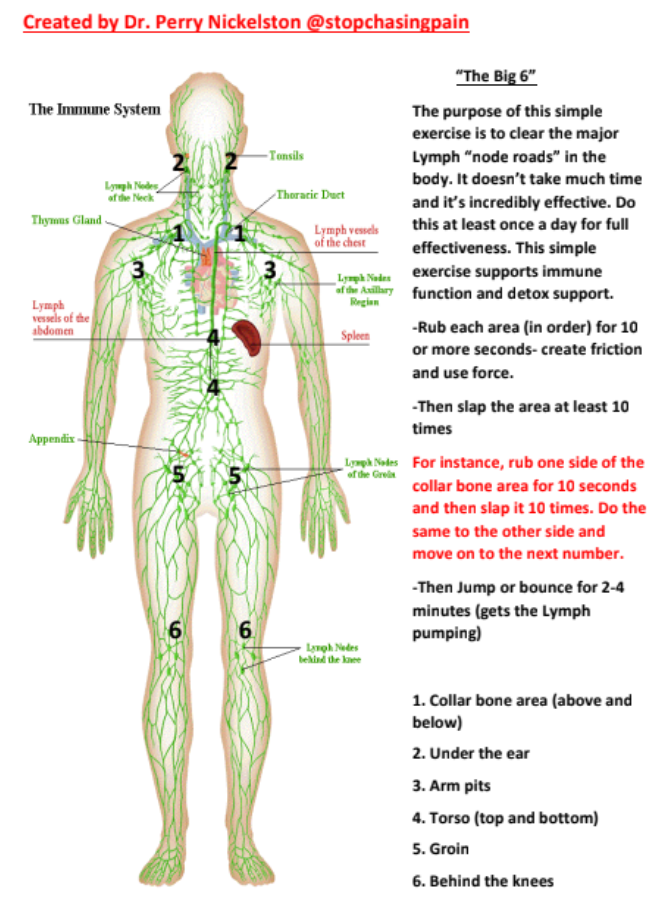 human diagram of lymphatics system